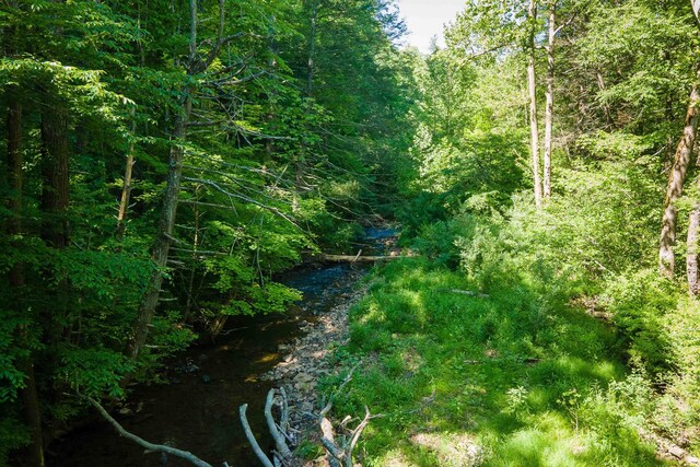 TBD Little Calf Pasture Hwy, Swoope, VA 24479 - photo 14