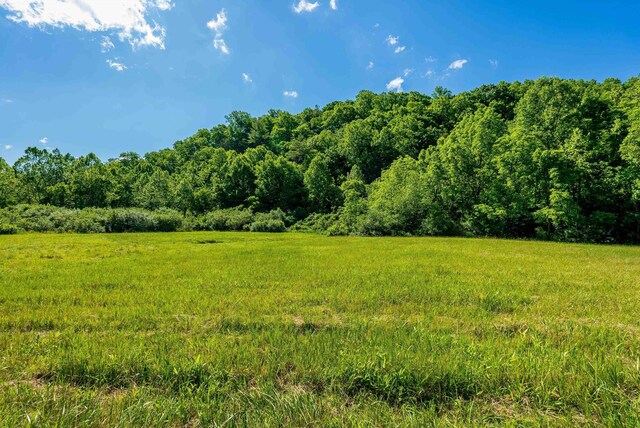 TBD Little Calf Pasture Hwy, Swoope, VA 24479 - photo 11