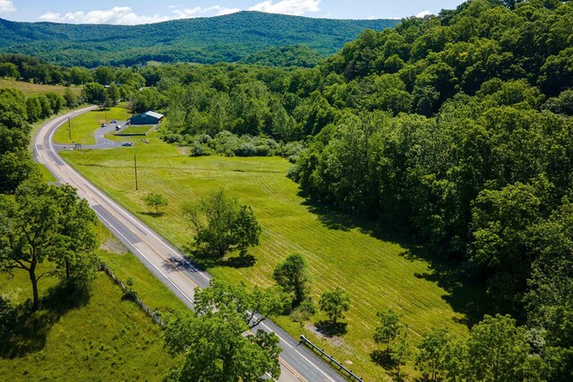 TBD Little Calf Pasture Hwy, Swoope, VA 24479 - photo 6