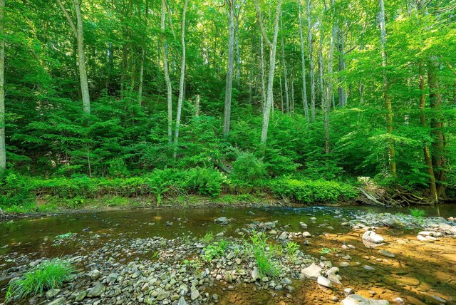 TBD Little Calf Pasture Hwy, Swoope, VA 24479 - photo 13