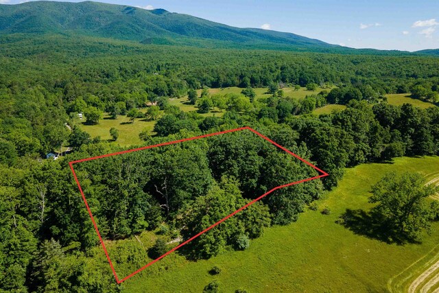 TBD Little Calf Pasture Hwy, Swoope, VA 24479 - photo 16