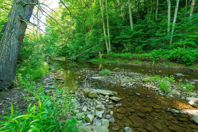 TBD Little Calf Pasture Hwy, Swoope, VA 24479 - photo 4