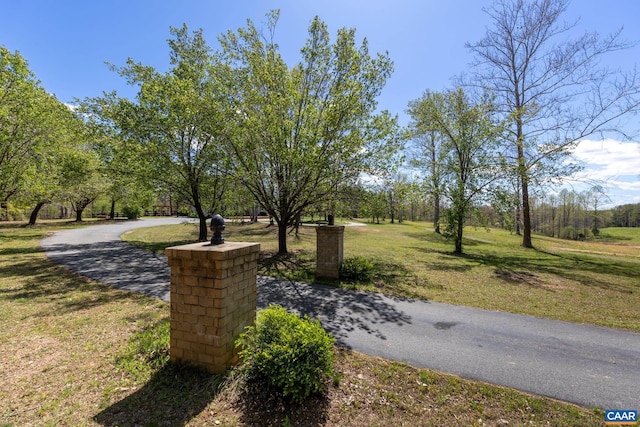 1972 Sclaters Ford Rd, Palmyra, VA 22963 - view of property's community featuring a yard