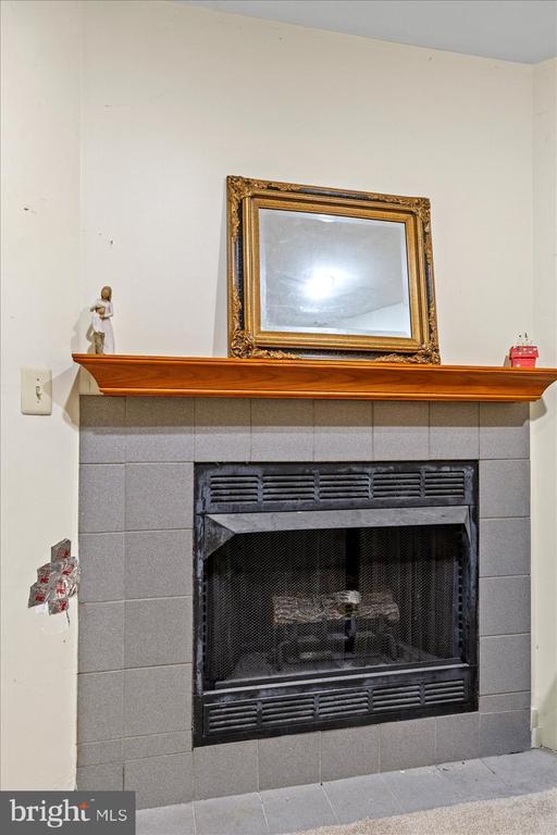9814 Dominion Forest Cir, Fredericksburg, VA 22408 - detailed view of a fireplace