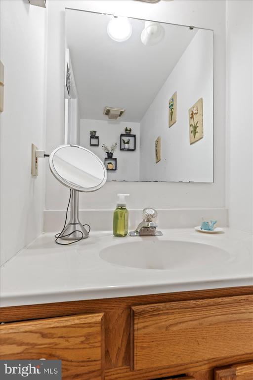9814 Dominion Forest Cir, Fredericksburg, VA 22408 - bathroom with vanity