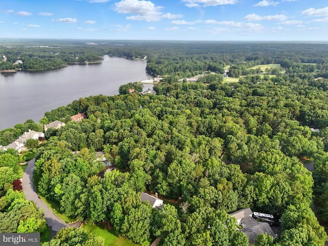 10803 Perrin Cir, Spotsylvania, VA 22551 - photo 33