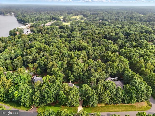10803 Perrin Cir, Spotsylvania, VA 22551 - photo 32