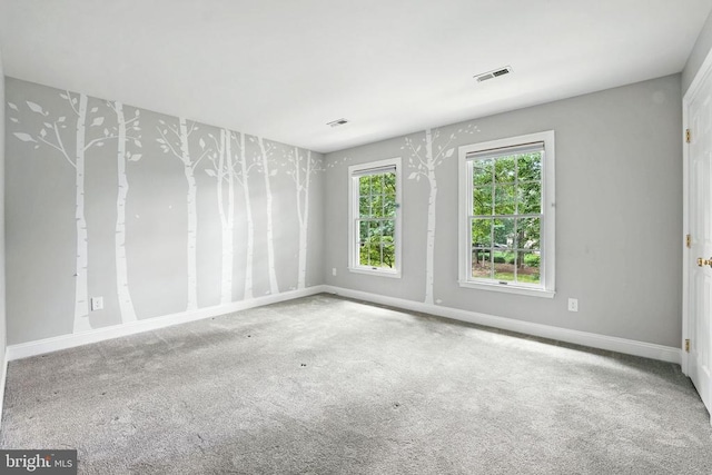 10803 Perrin Cir, Spotsylvania, VA 22551 - photo 21