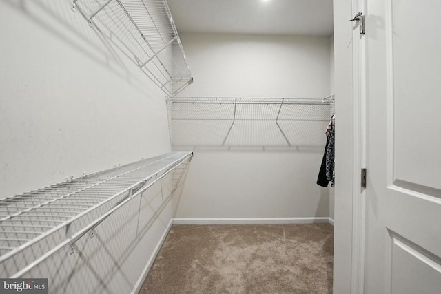 8905 Saint Landry Ln, Spotsylvania, VA 22553 - photo 24