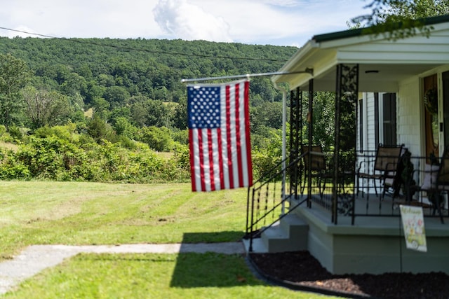 170 Ramsey Gap Rd, Goshen, VA 24439 - photo 65