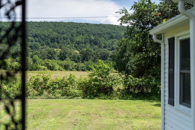 170 Ramsey Gap Rd, Goshen, VA 24439 - photo 58
