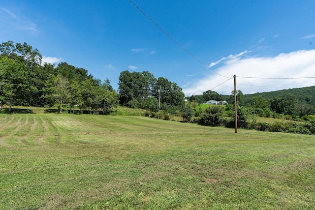 170 Ramsey Gap Rd, Goshen, VA 24439 - photo 51