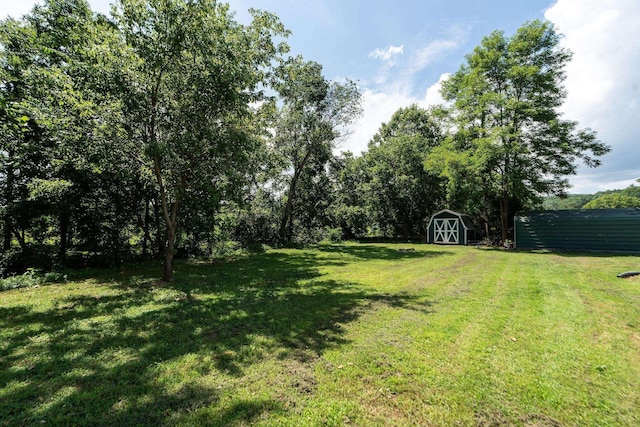 170 Ramsey Gap Rd, Goshen, VA 24439 - photo 56