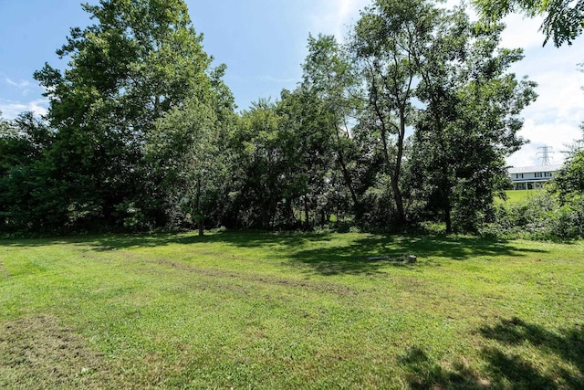 170 Ramsey Gap Rd, Goshen, VA 24439 - photo 55