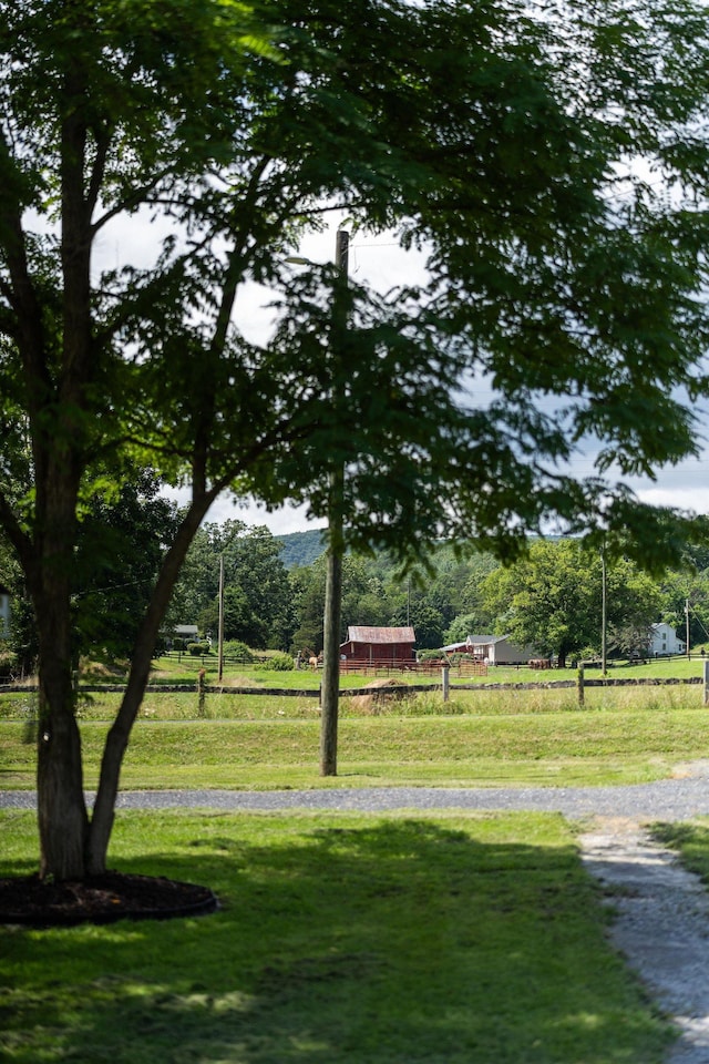 170 Ramsey Gap Rd, Goshen, VA 24439 - photo 60