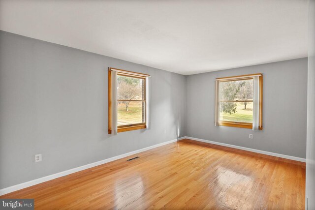375 Seven Ponds Rd, Amissville, VA 20106 - photo 69