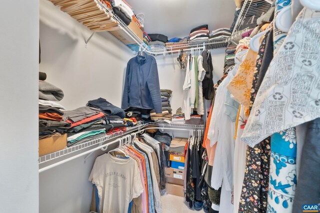 2153 Saranac Ct, Charlottesville, VA 22911 - view of walk in closet