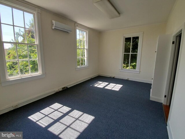  - photo 20