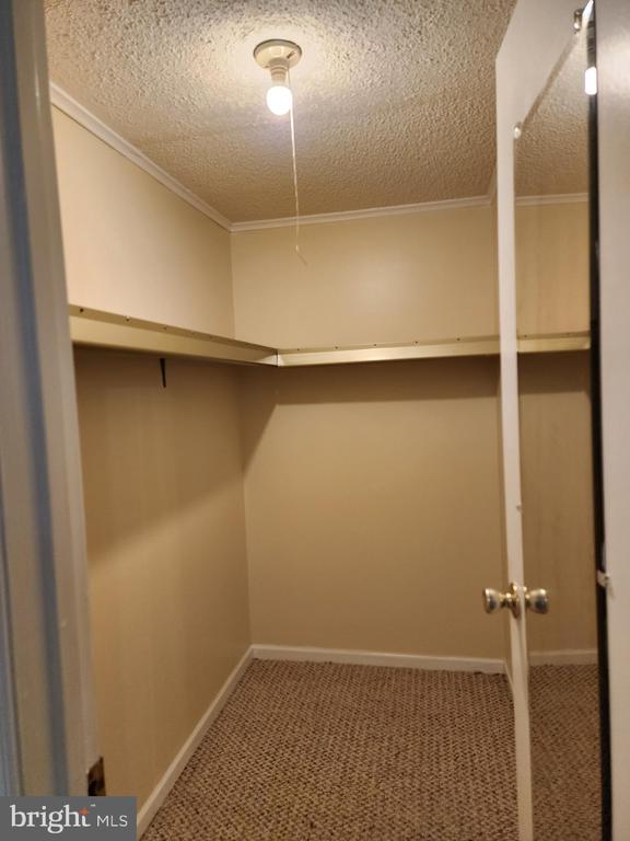 304 Gold Vly, Locust Grove, VA 22508 - photo 26