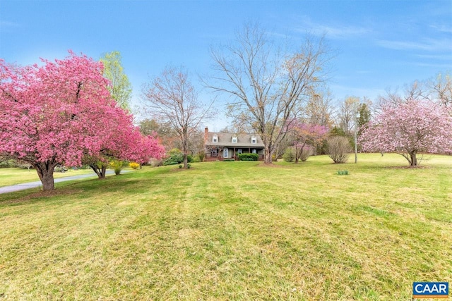 168 Lakeland Ln, Faber, VA 22938 - view of green lawn