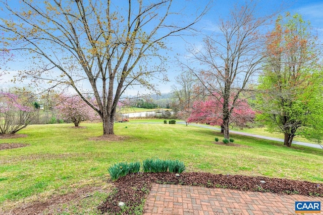 168 Lakeland Ln, Faber, VA 22938 - view of green lawn