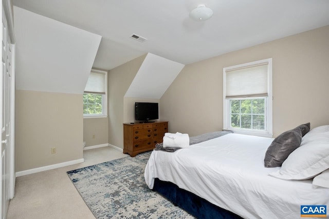 168 Lakeland Ln, Faber, VA 22938 - bedroom with multiple windows, carpet floors, and vaulted ceiling