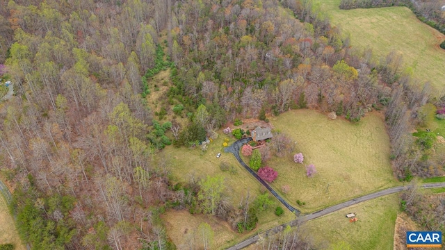 168 Lakeland Ln, Faber, VA 22938 - bird's eye view