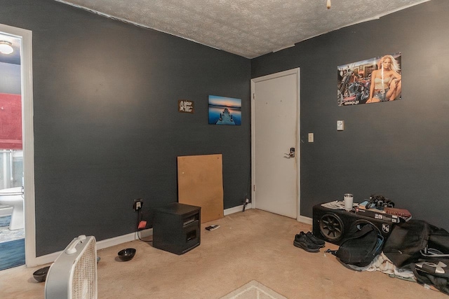 9274 Spotswood Trl, Mcgaheysville, VA 22840 - misc room featuring carpet flooring, a textured ceiling, and baseboards