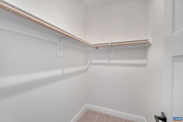 spacious closet with carpet floors