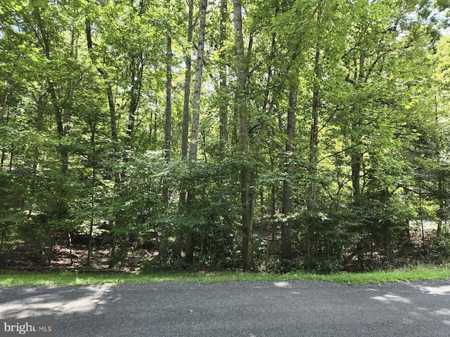 135 Monticello Cir, Locust Grove VA, 22508 land for sale