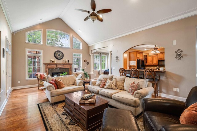 1763 Red Top Orchard Rd, Waynesboro, VA 22980 - living room with a ceiling fan, arched walkways, light wood finished floors, a premium fireplace, and high vaulted ceiling