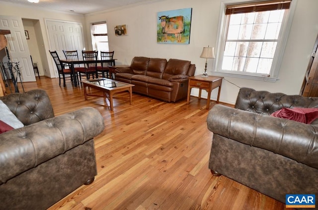 living room featuring ornamental molding, baseboards, and light wood-style floors