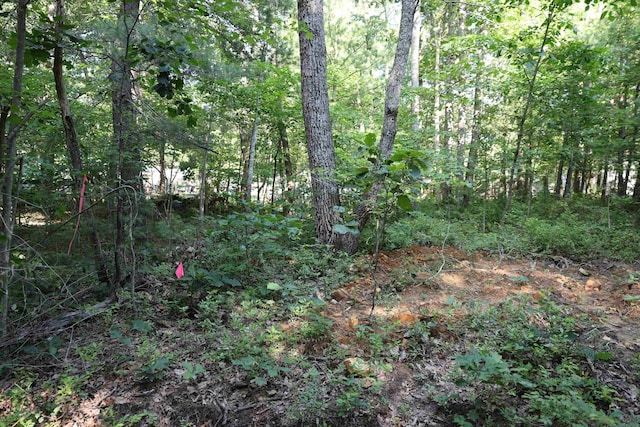TBD Cold Springs Rd, Greenville, VA 24440