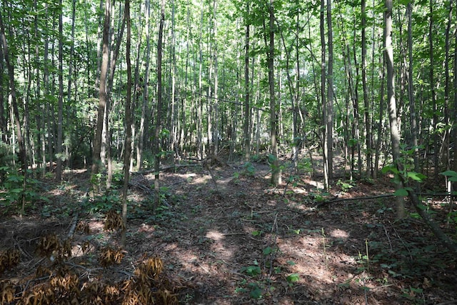 TBD Cold Springs Rd, Greenville, VA 24440