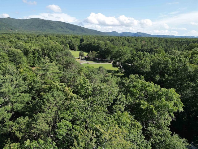 TBD Cold Springs Rd, Greenville, VA 24440