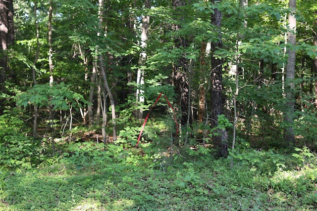 TBD Cold Springs Rd, Greenville, VA 24440