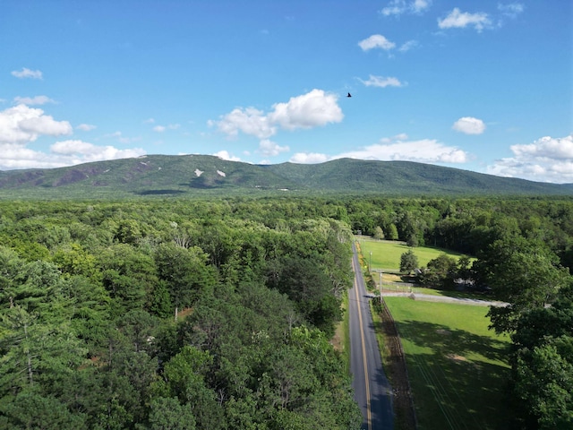 TBD Cold Springs Rd, Greenville, VA 24440