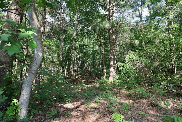TBD Cold Springs Rd, Greenville, VA 24440