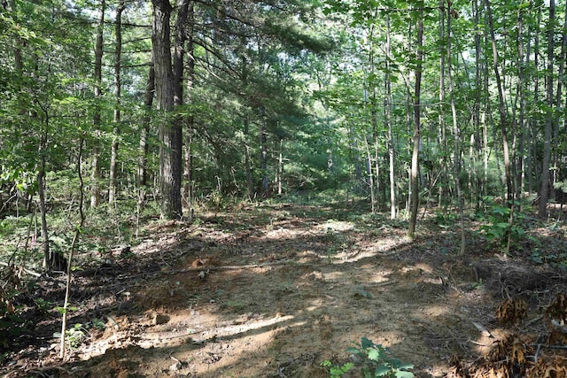 TBD Cold Springs Rd, Greenville, VA 24440
