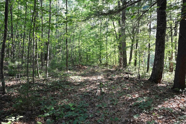 TBD Cold Springs Rd, Greenville, VA 24440