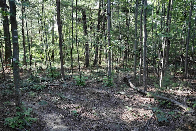TBD Cold Springs Rd, Greenville, VA 24440