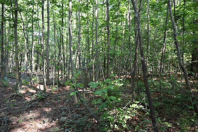TBD Cold Springs Rd, Greenville, VA 24440