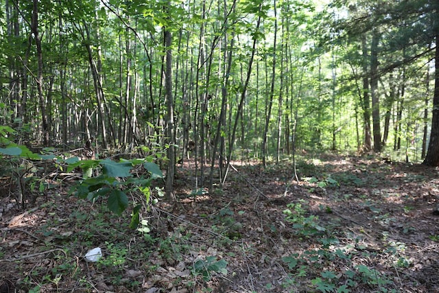 TBD Cold Springs Rd, Greenville, VA 24440