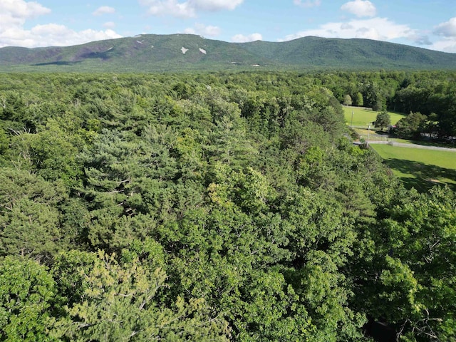 TBD Cold Springs Rd, Greenville, VA 24440
