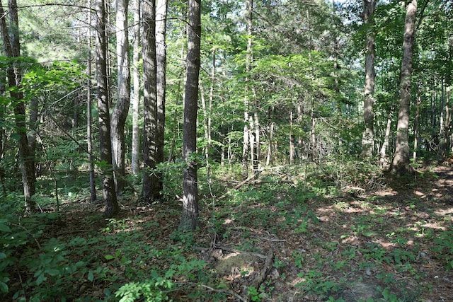 TBD Cold Springs Rd, Greenville, VA 24440