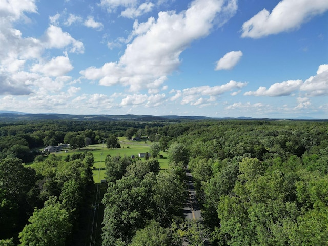 TBD Cold Springs Rd, Greenville, VA 24440