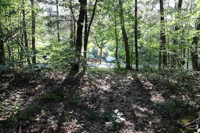 TBD Cold Springs Rd, Greenville, VA 24440