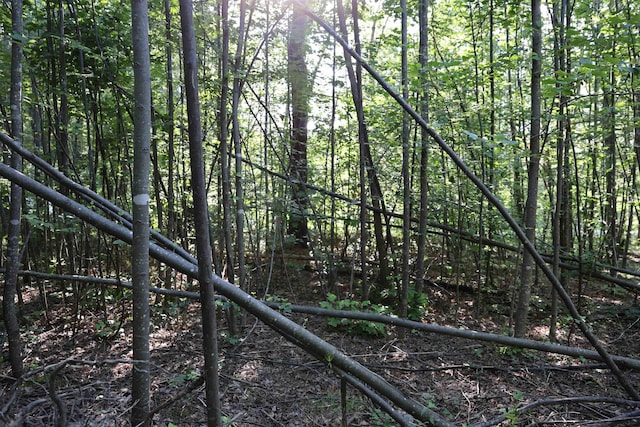 TBD Cold Springs Rd, Greenville, VA 24440
