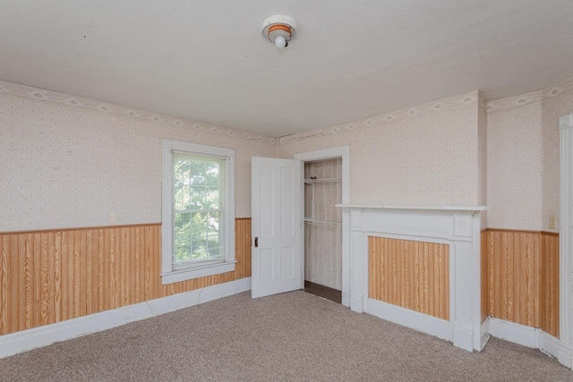 1221 Keezletown Rd, Weyers Cave, VA 24486 - unfurnished bedroom featuring a wainscoted wall, wallpapered walls, wooden walls, carpet, and a closet