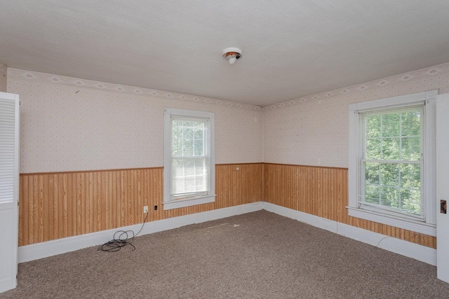 1221 Keezletown Rd, Weyers Cave, VA 24486 - carpeted empty room with a wainscoted wall, wallpapered walls, and wood walls